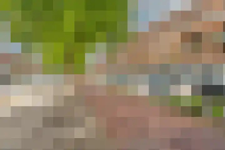 Aelbrechtskade 226 Rotterdam thumbnail 7