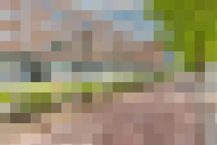 Aelbrechtskade 226 Rotterdam thumbnail 8