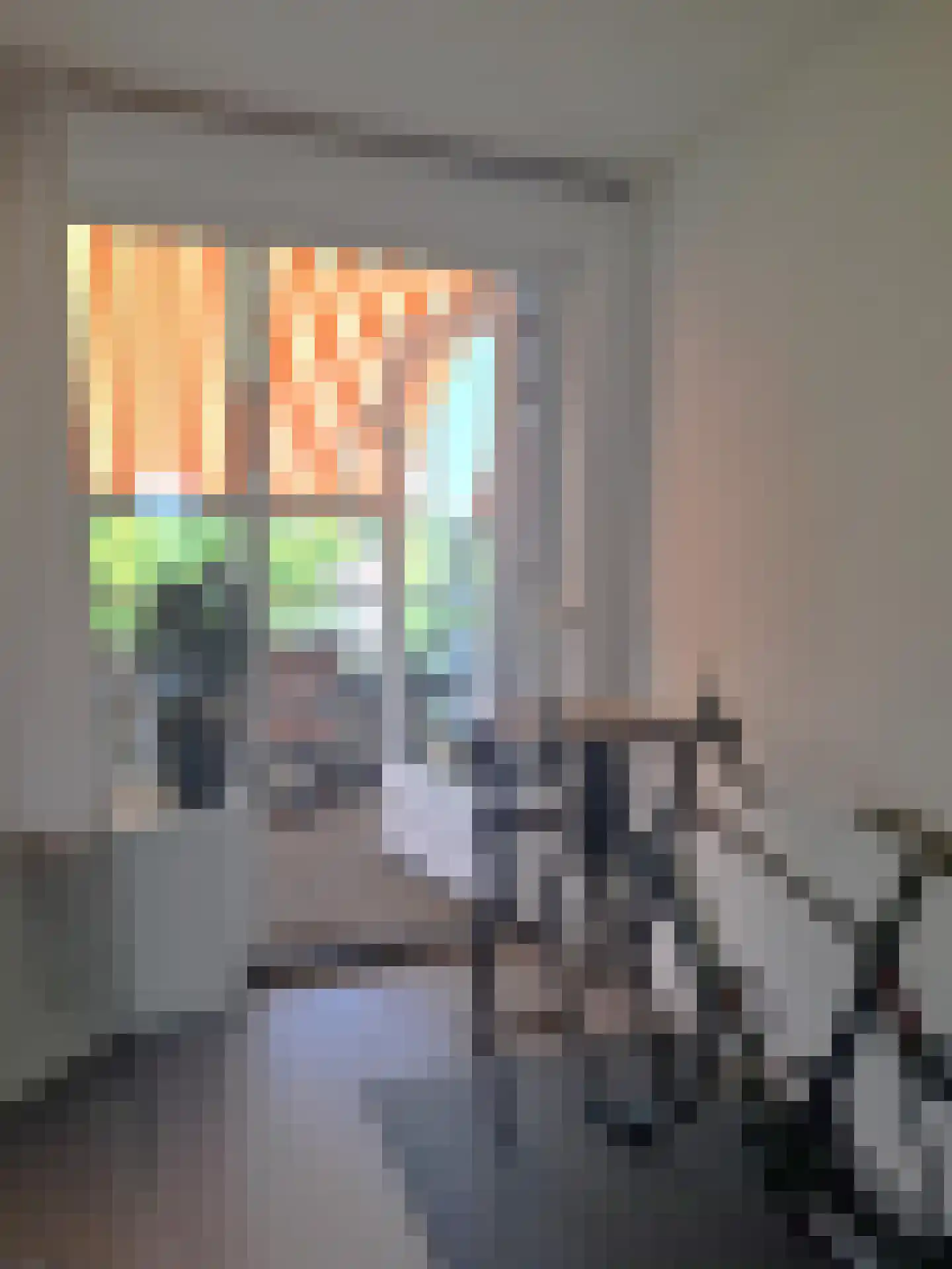 Aelbrechtskade 230 Rotterdam thumbnail 17