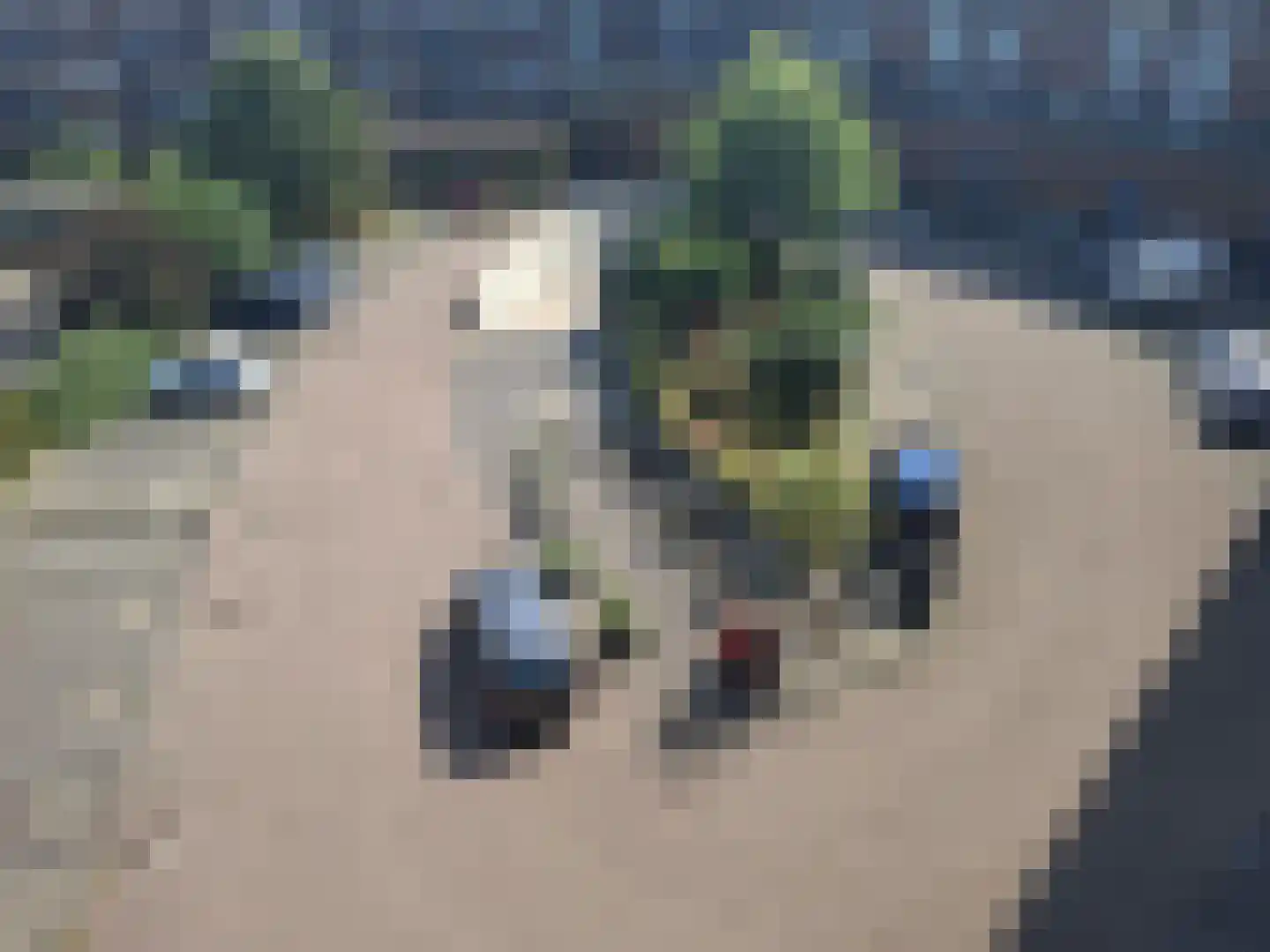 Aelbrechtskade 230 Rotterdam thumbnail 22