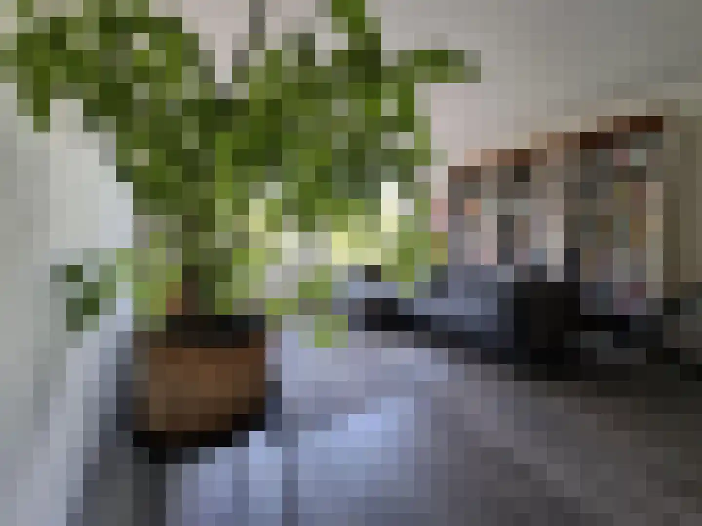 Aelbrechtskade 230 Rotterdam thumbnail 7