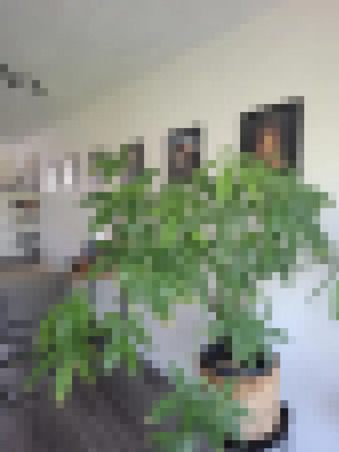 Aelbrechtskade 230 Rotterdam thumbnail 9