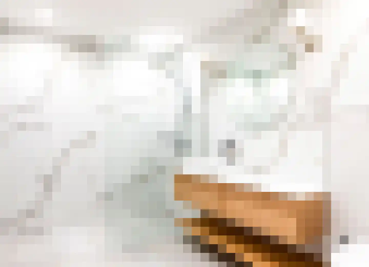 Aelbrechtskade 35 Rotterdam thumbnail 20