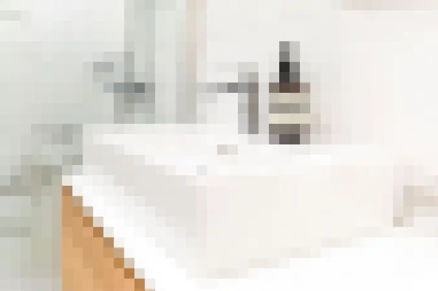 Aelbrechtskade 35 Rotterdam thumbnail 22