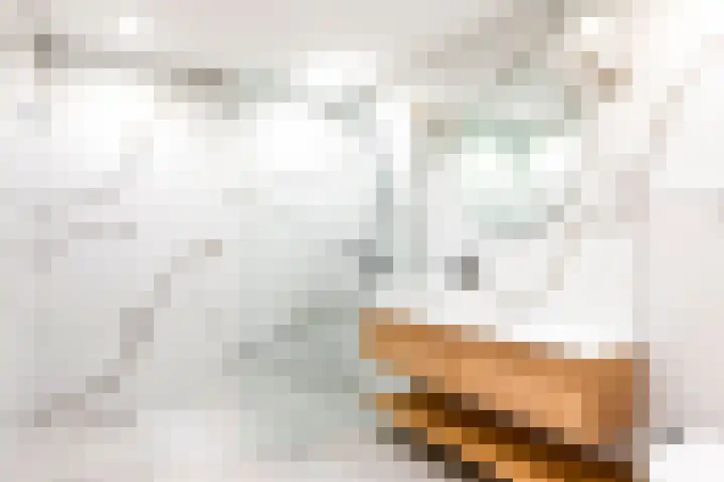 Aelbrechtskade 35 Rotterdam thumbnail 4
