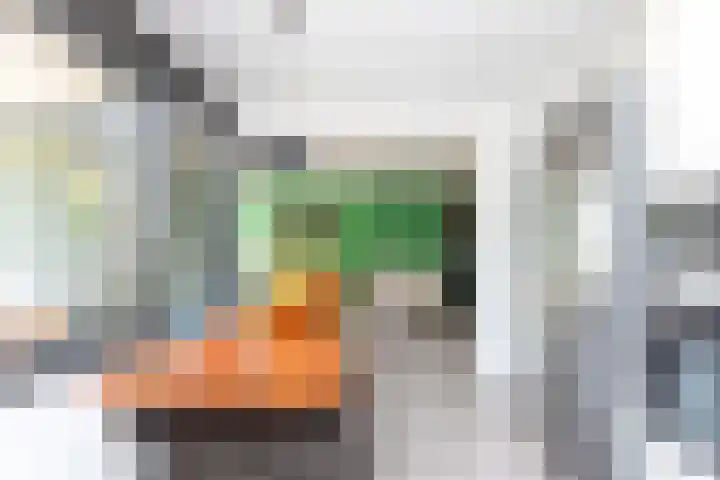 Aelbrechtskade 78 B Rotterdam thumbnail 12