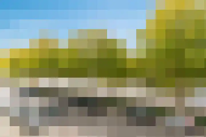 Aelbrechtskade 78 B Rotterdam thumbnail 22