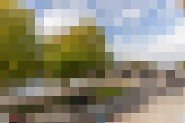 Aelbrechtskade 78 B Rotterdam thumbnail 23