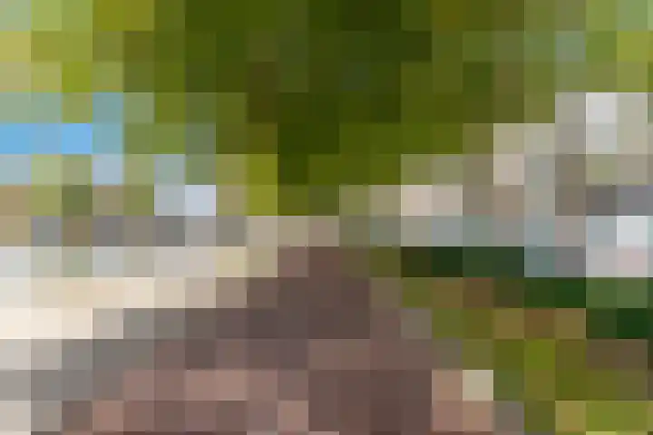 Aelbrechtskade 78 B Rotterdam thumbnail 31