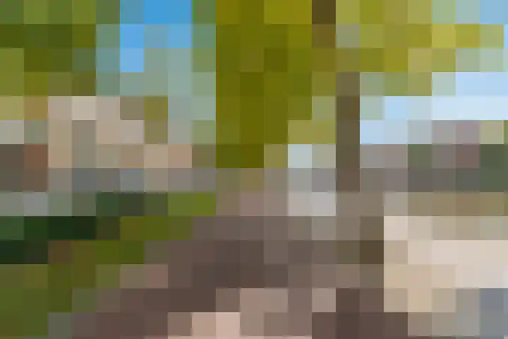 Aelbrechtskade 78 B Rotterdam thumbnail 32