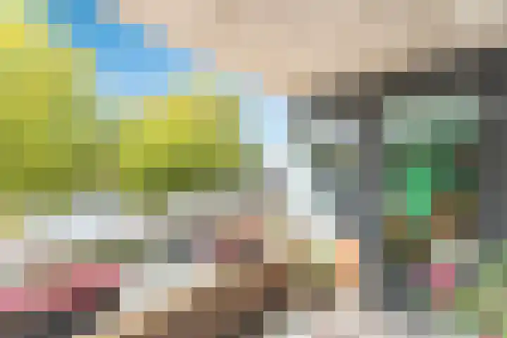 Aelbrechtskade 78 B Rotterdam thumbnail 6
