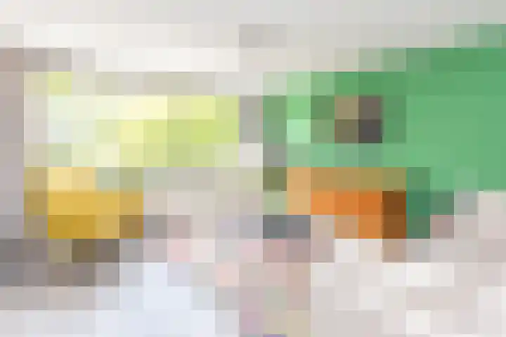 Aelbrechtskade 78 B Rotterdam thumbnail 7
