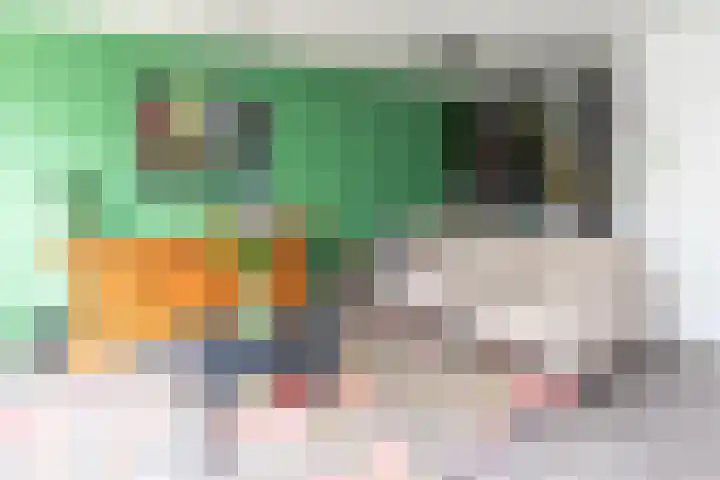 Aelbrechtskade 78 B Rotterdam thumbnail 8