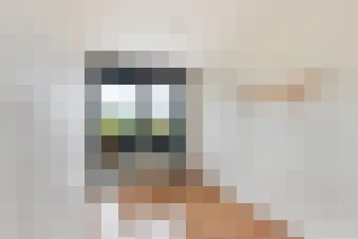 Aelbrechtskade 80 B Rotterdam thumbnail 17