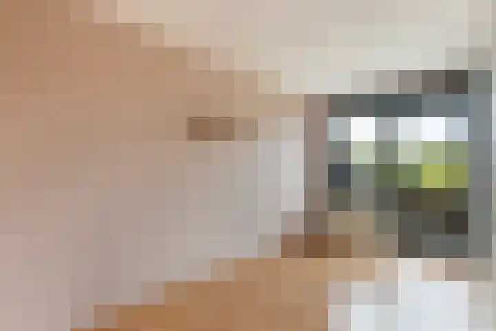 Aelbrechtskade 80 B Rotterdam thumbnail 18