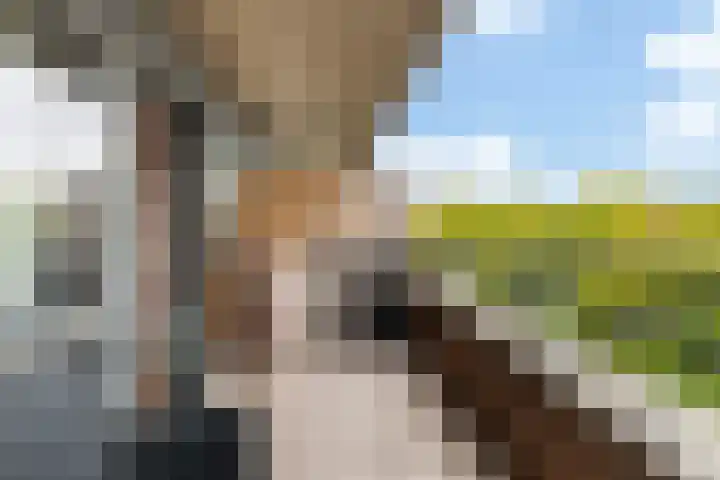 Aelbrechtskade 80 B Rotterdam thumbnail 21