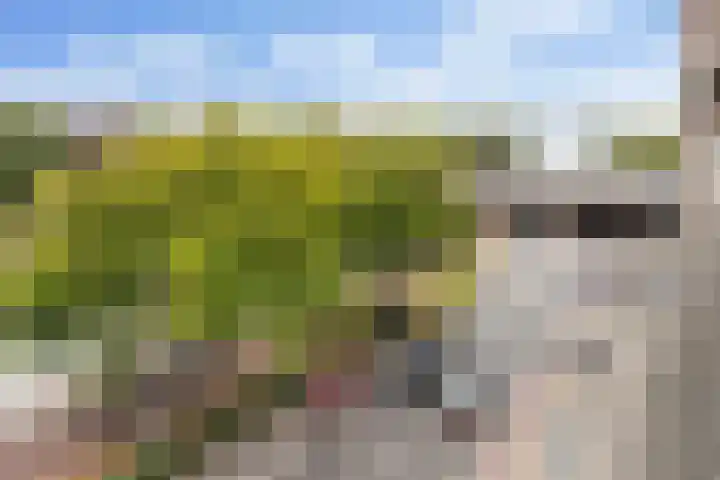 Aelbrechtskade 80 B Rotterdam thumbnail 22