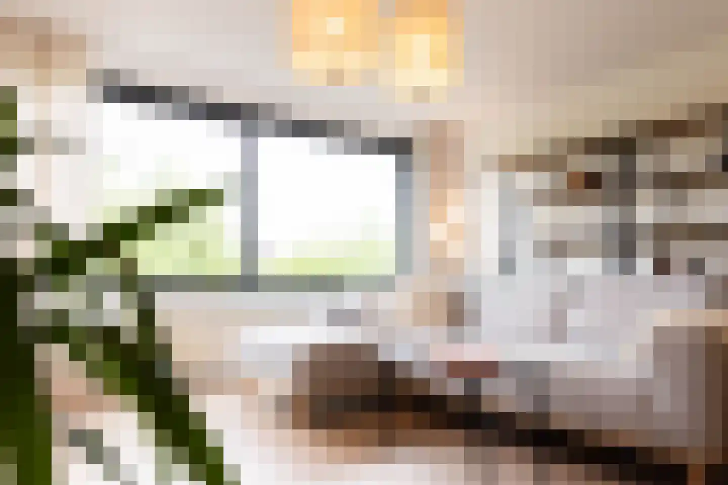 Aelbrechtskade 80 M Rotterdam thumbnail 14