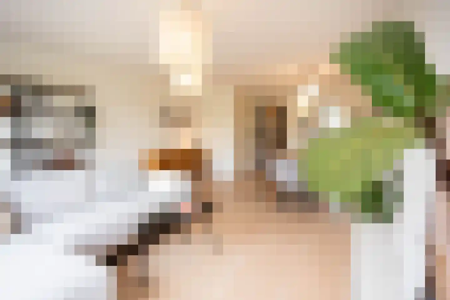 Aelbrechtskade 80 M Rotterdam thumbnail 22