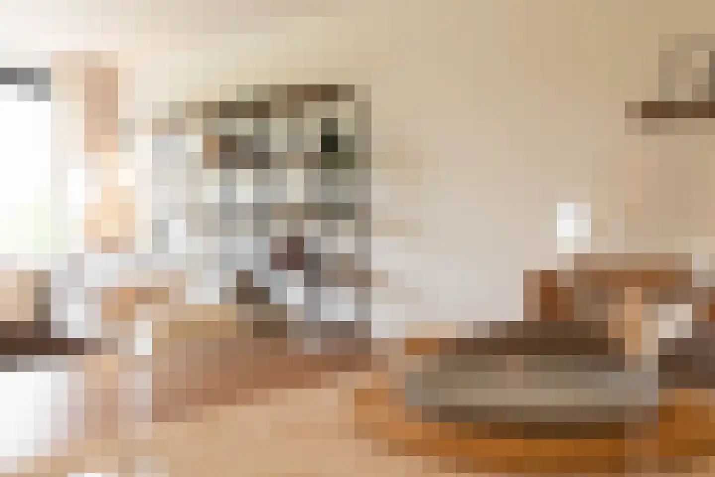 Aelbrechtskade 80 M Rotterdam thumbnail 4