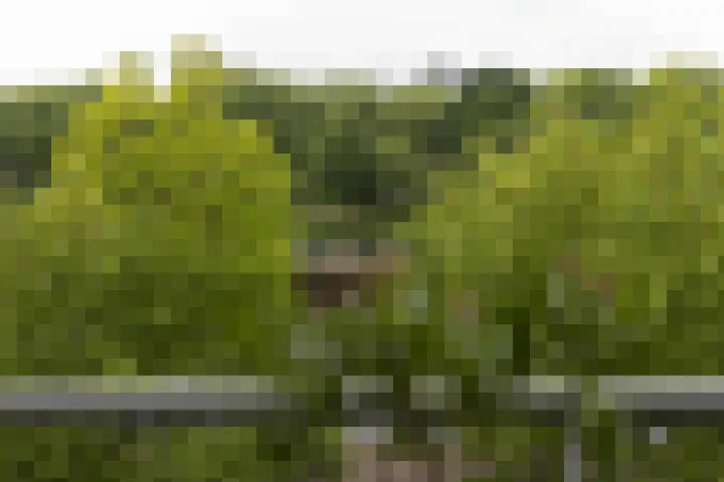 Aelbrechtskade 80 M Rotterdam thumbnail 47