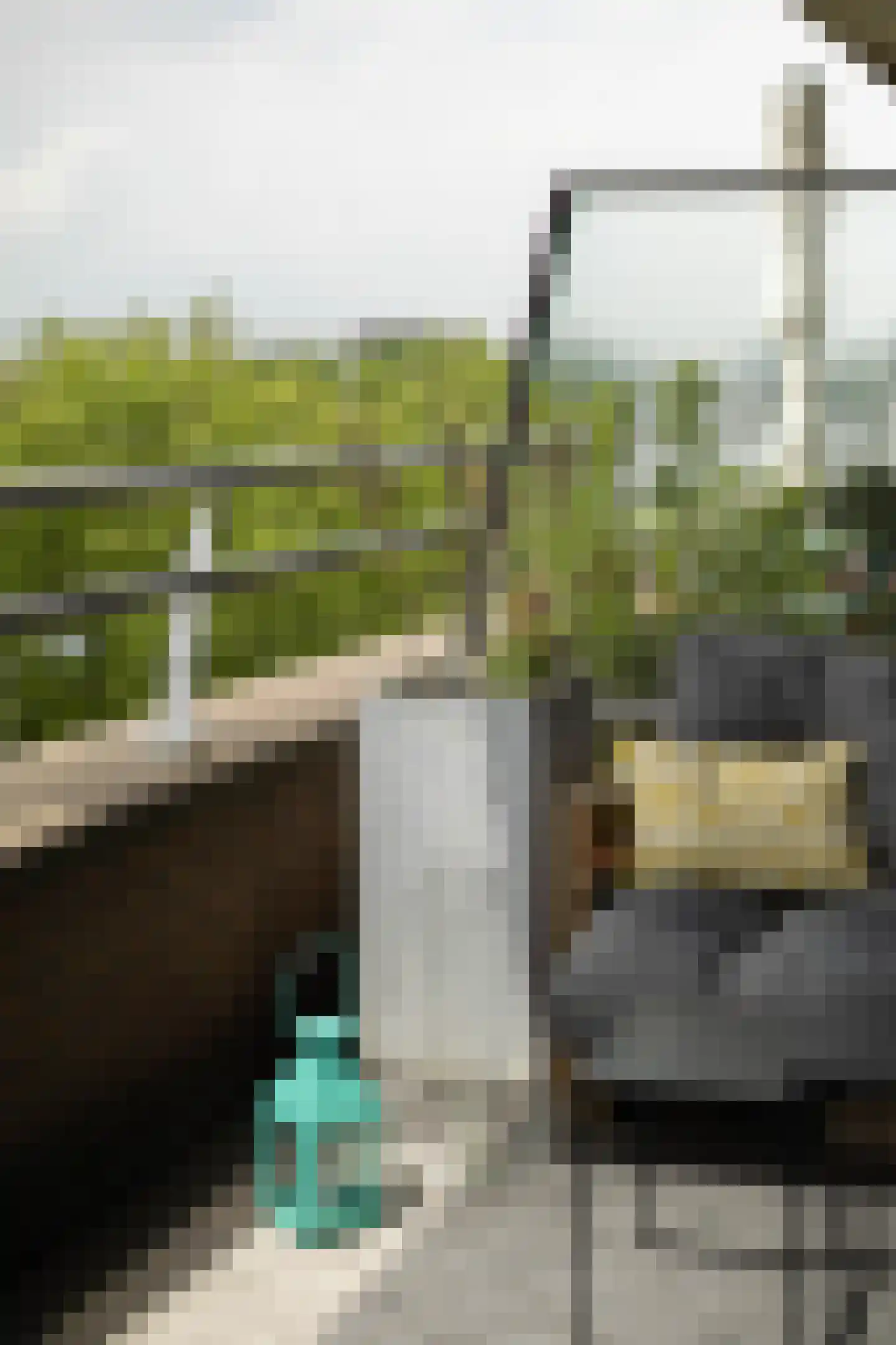 Aelbrechtskade 80 M Rotterdam thumbnail 54