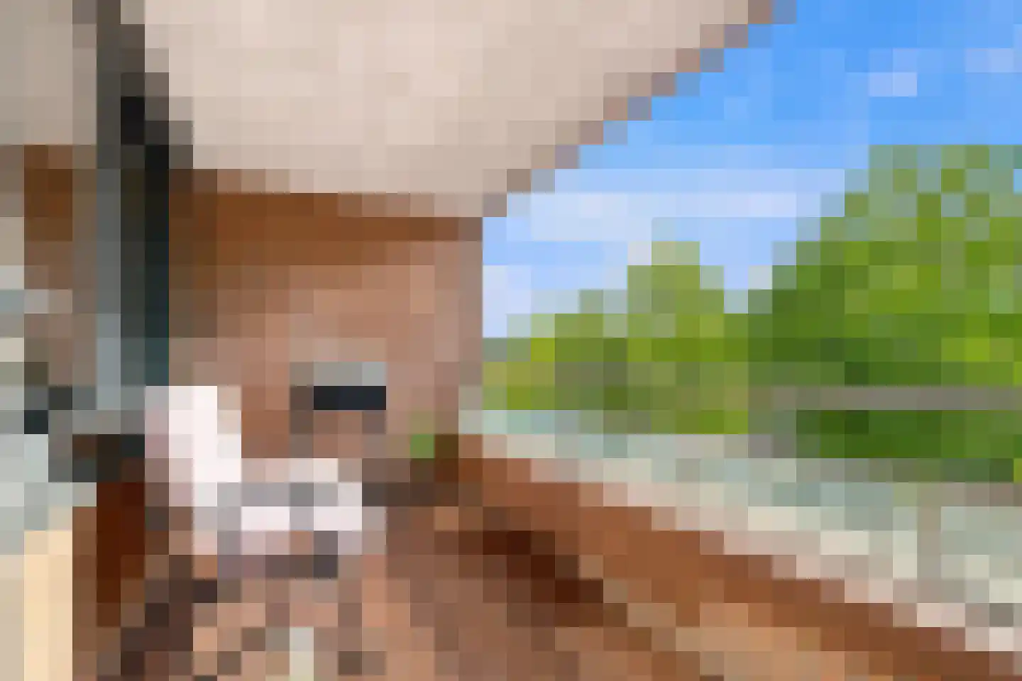 Aelbrechtskade 86 F Rotterdam thumbnail 12