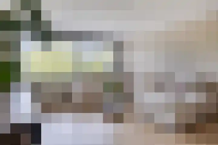 Aelbrechtskade 87 D Rotterdam thumbnail 12