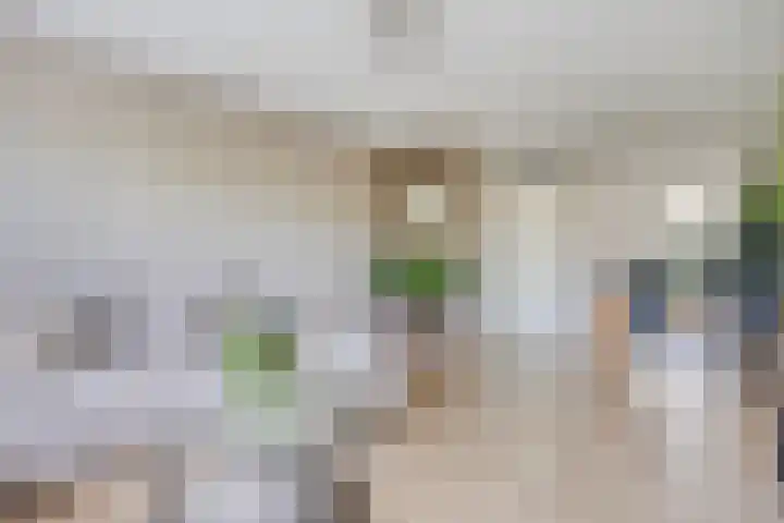 Aelbrechtskade 87 D Rotterdam thumbnail 13