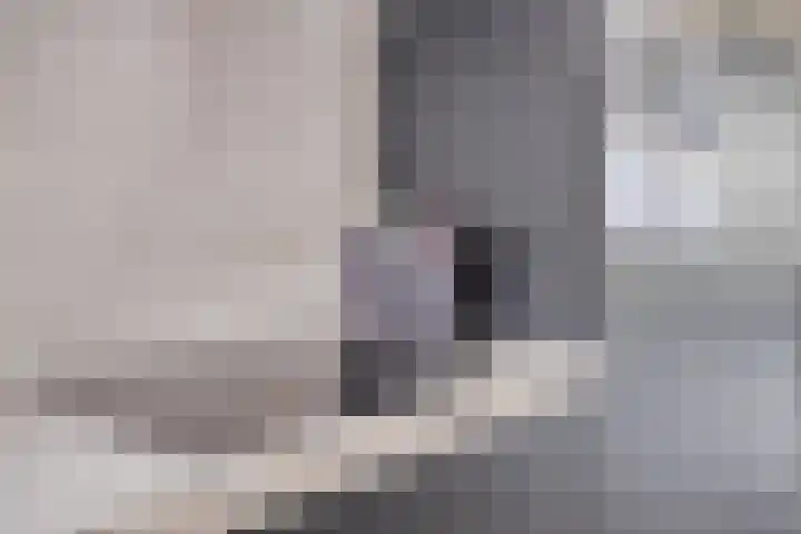Aelbrechtskade 87 D Rotterdam thumbnail 20