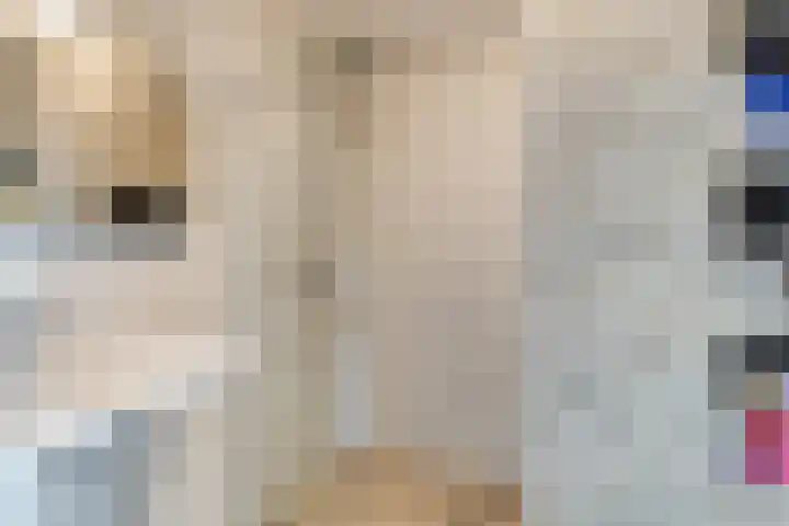 Aelbrechtskade 87 D Rotterdam thumbnail 25