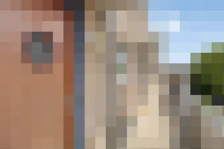 Aelbrechtskade 87 D Rotterdam thumbnail 29