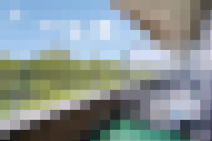 Aelbrechtskade 87 D Rotterdam thumbnail 5