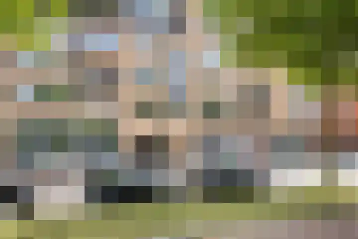 Aelbrechtskade 87 D Rotterdam thumbnail 7