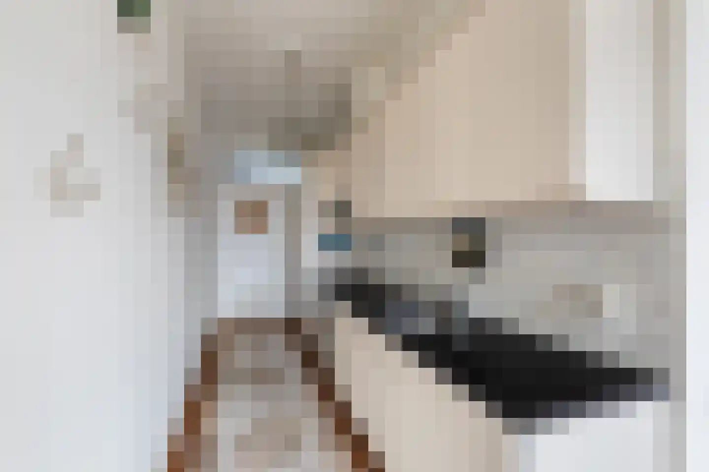 Aelbrechtskolk 21 A Rotterdam thumbnail 18