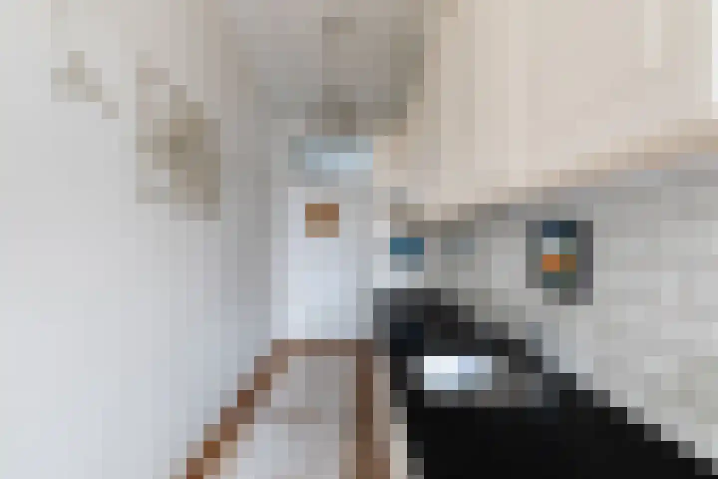 Aelbrechtskolk 21 A Rotterdam thumbnail 19