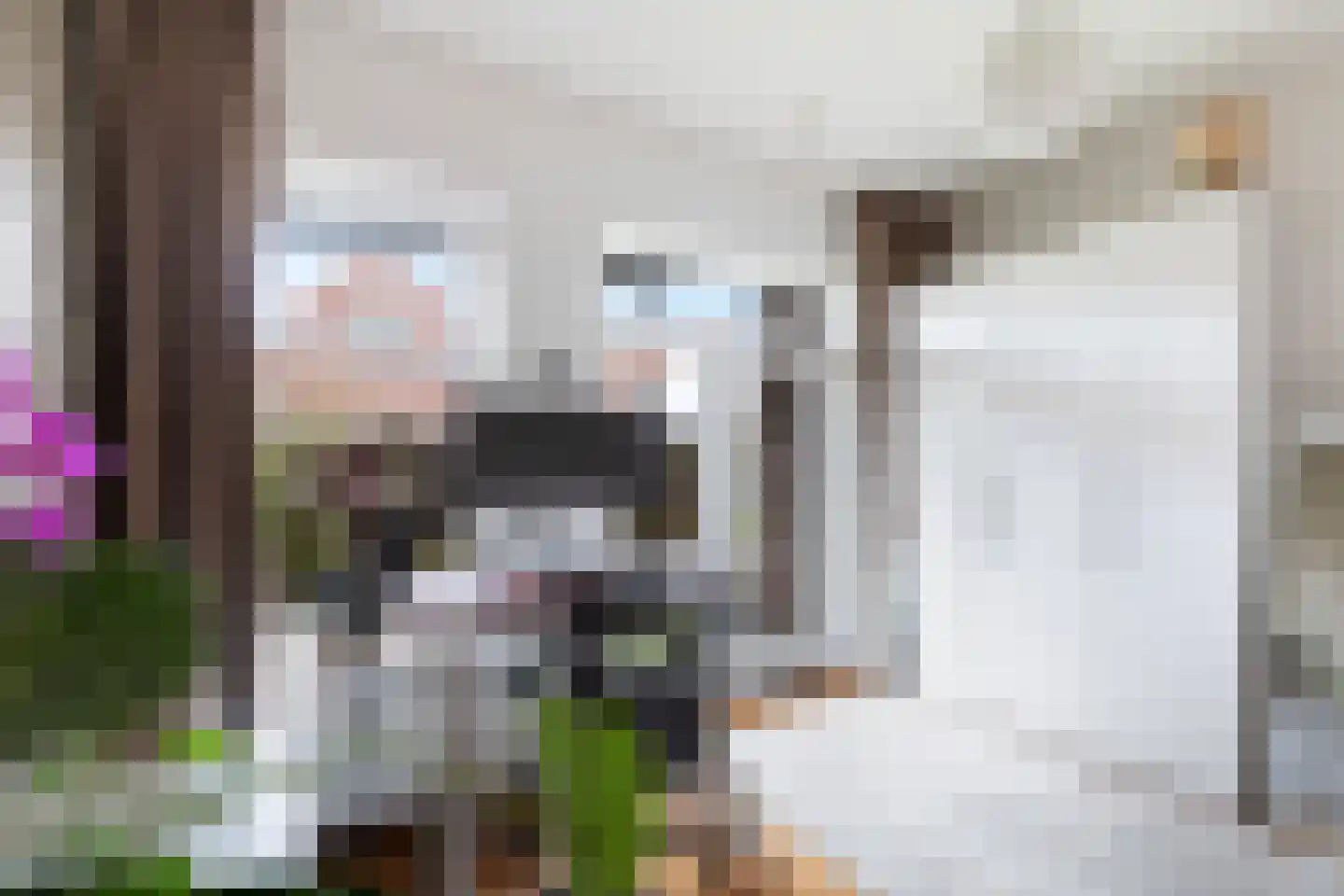 Aelbrechtskolk 21 A Rotterdam thumbnail 23