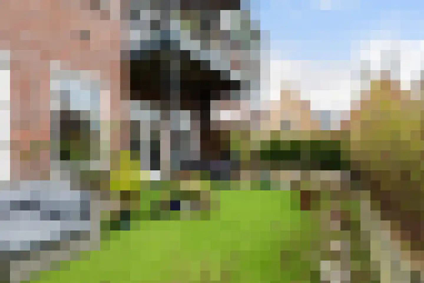 Aelbrechtskolk 21 A Rotterdam thumbnail 28