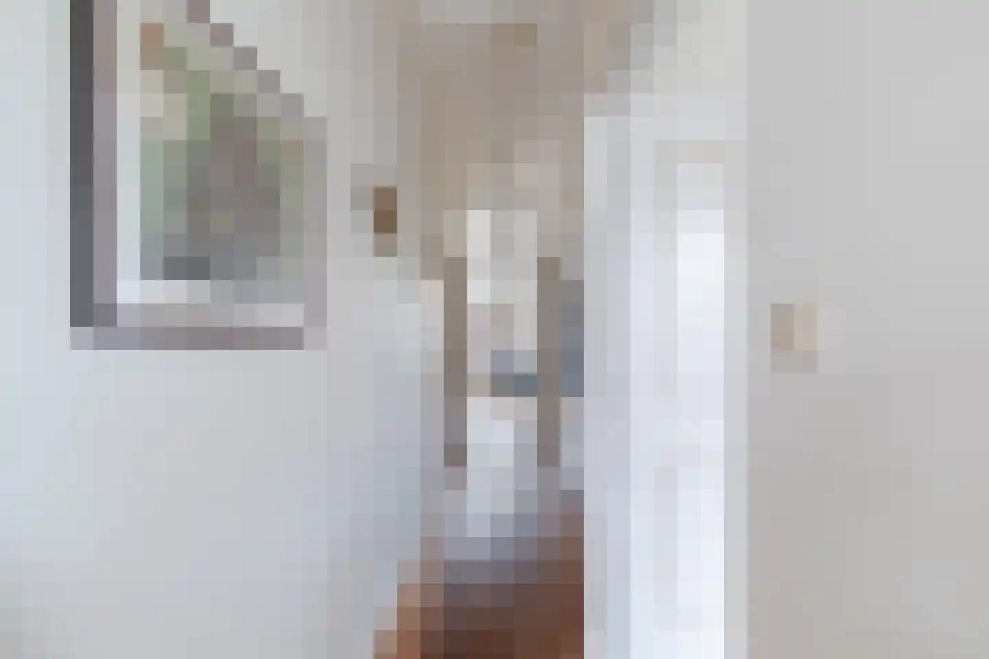 Aelbrechtskolk 21 A Rotterdam thumbnail 39
