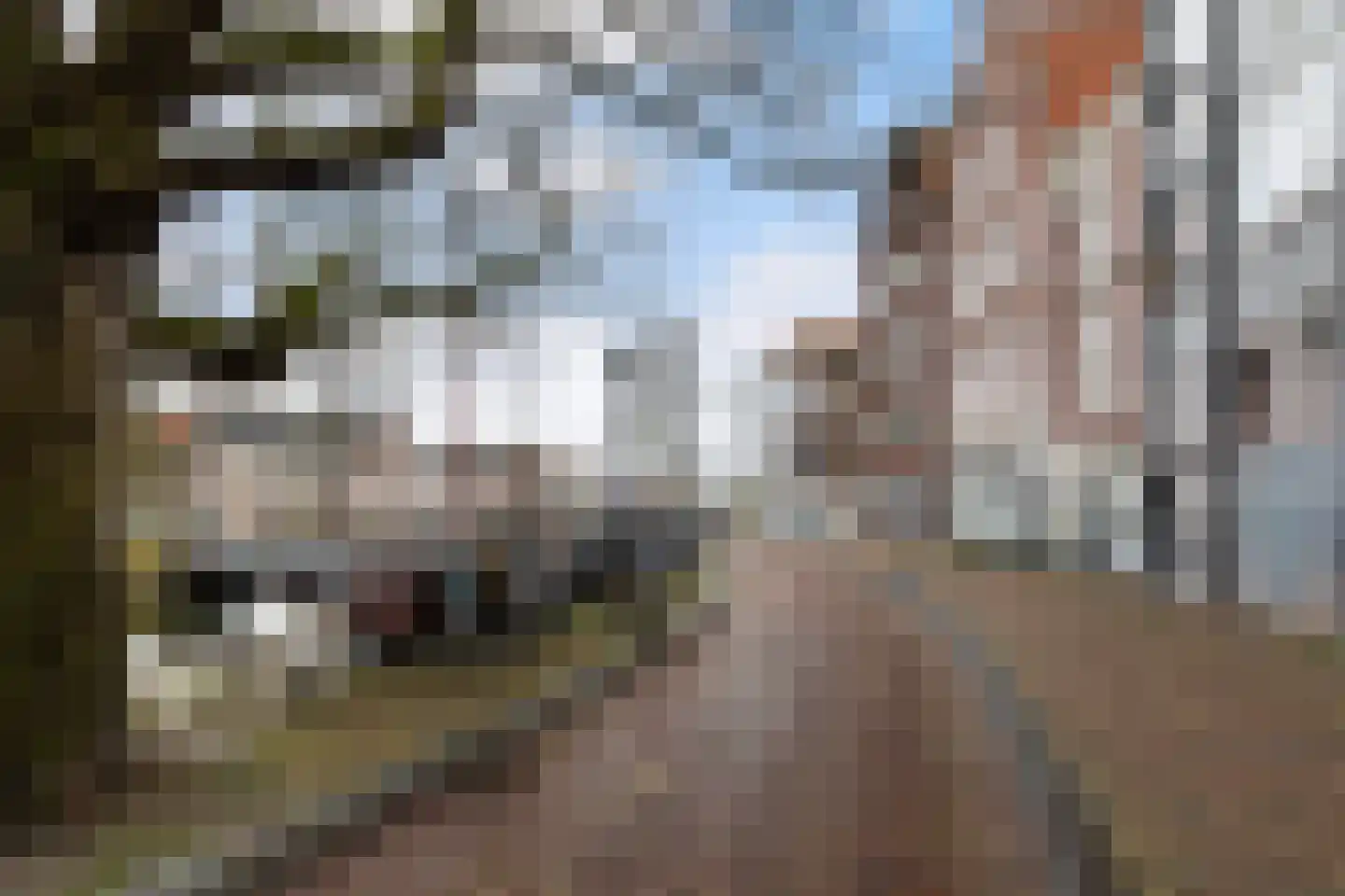 Aelbrechtskolk 21 A Rotterdam thumbnail 44