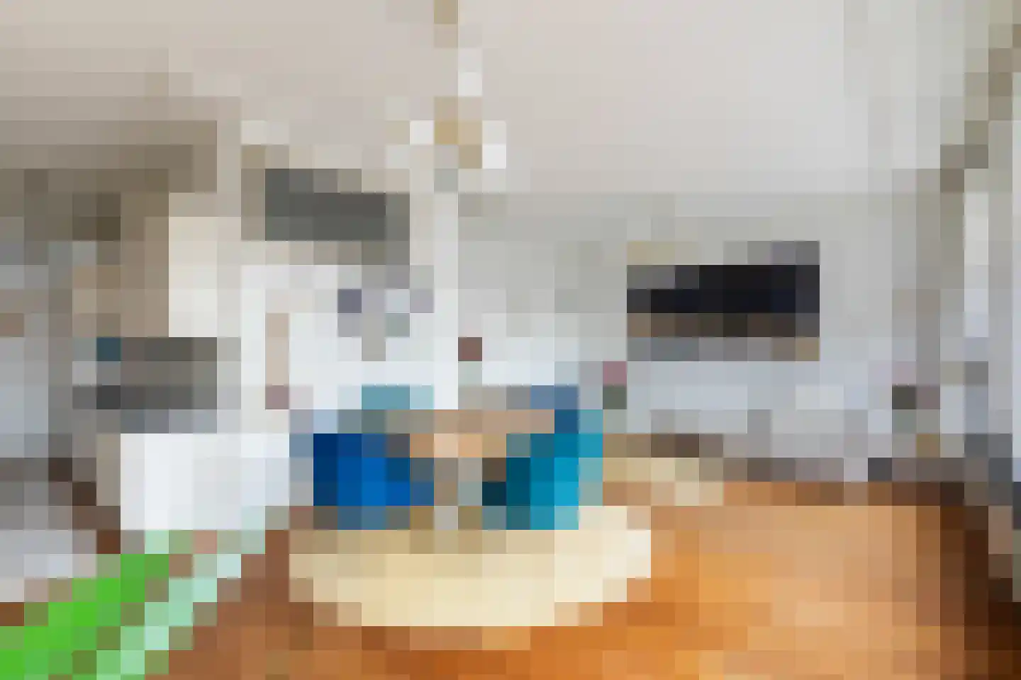 Aelbrechtskolk 21 C Rotterdam thumbnail 12