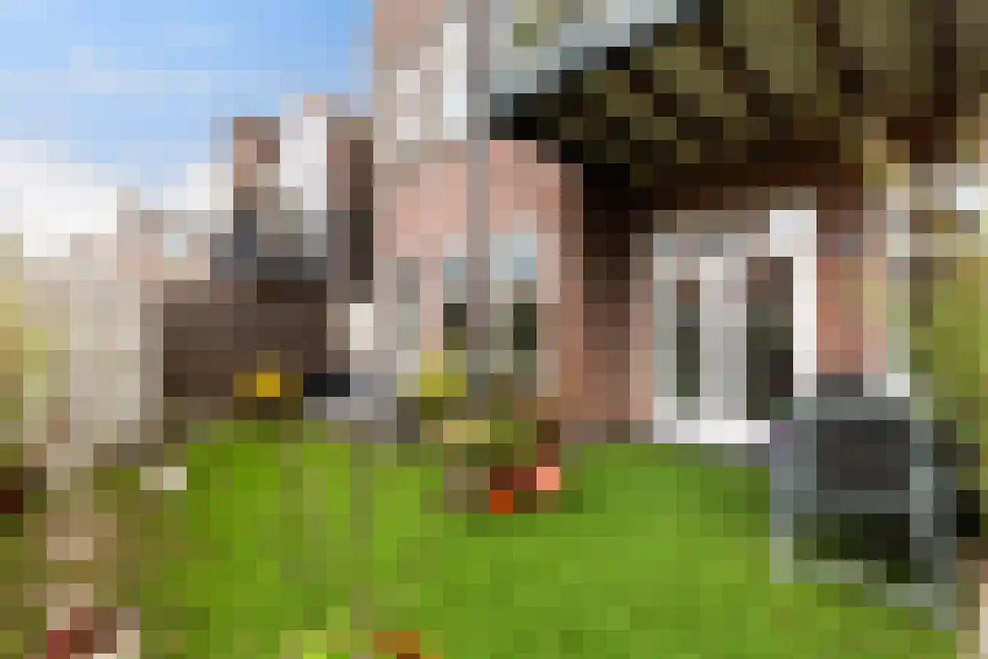 Aelbrechtskolk 21 C Rotterdam thumbnail 27