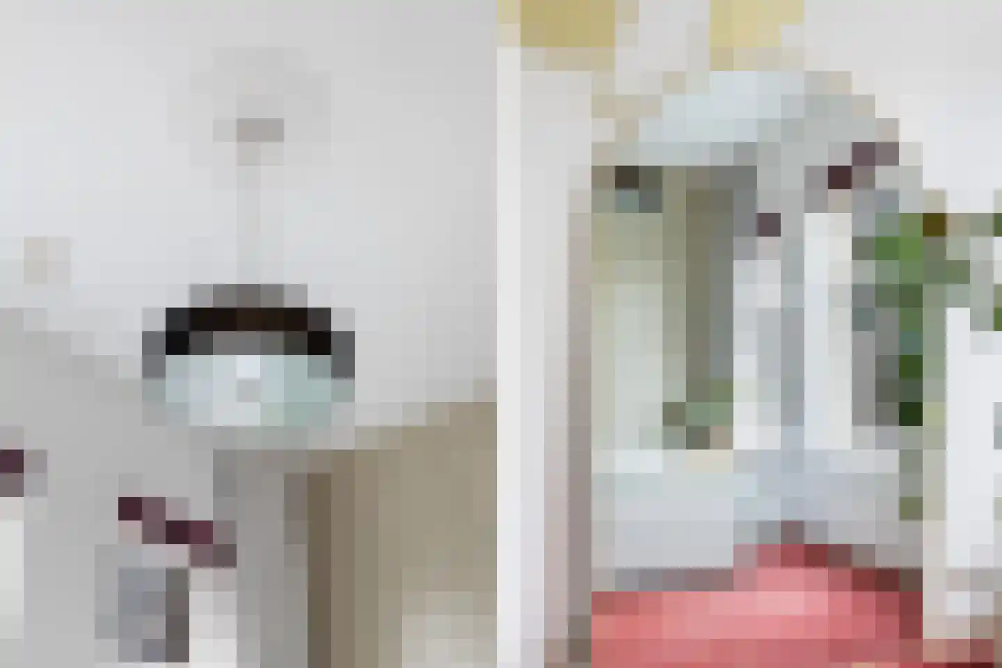 Aelbrechtskolk 21 C Rotterdam thumbnail 33