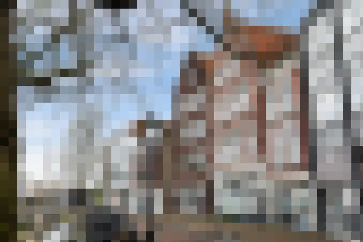 Aelbrechtskolk 21 C Rotterdam thumbnail 5