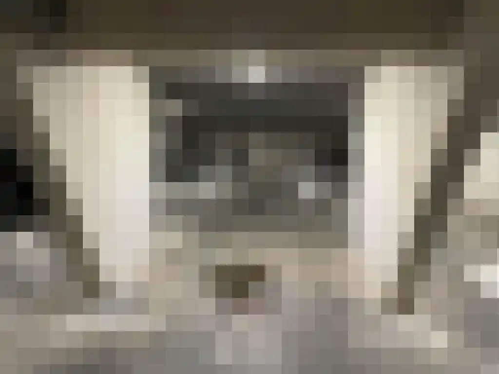 Aelbrechtskolk 21 C Rotterdam thumbnail 51