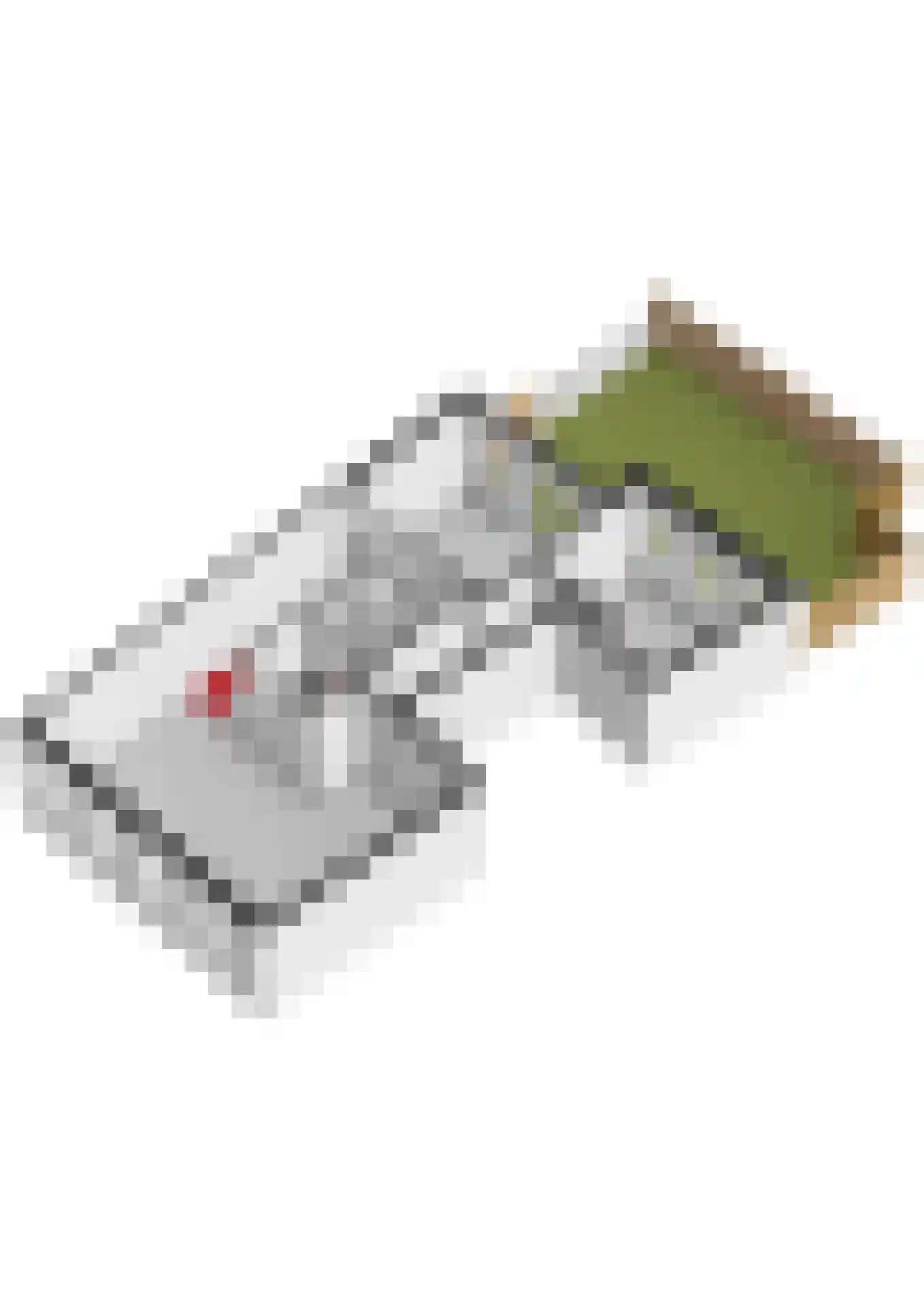 Aelbrechtskolk 21 C Rotterdam thumbnail 58