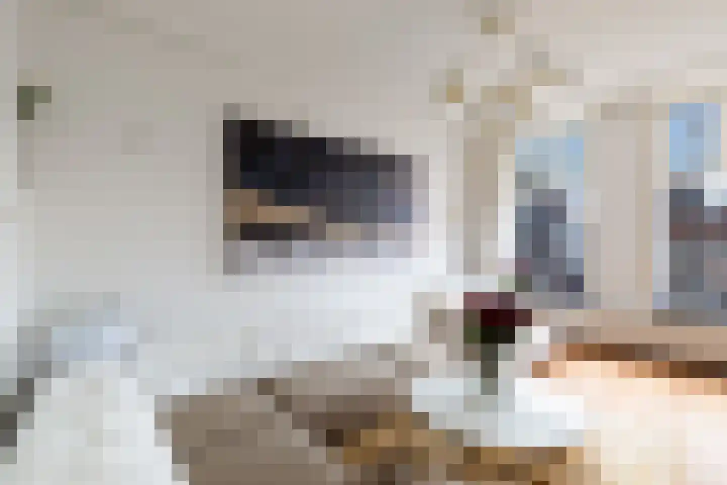 Aelbrechtskolk 21 C Rotterdam thumbnail 9