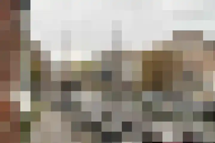 Aelbrechtskolk 45 C 01 Rotterdam thumbnail 11