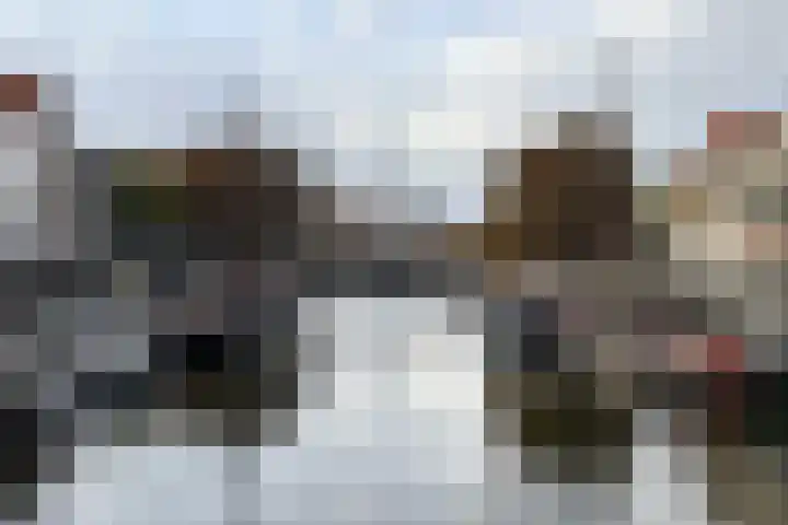 Aelbrechtskolk 45 C 01 Rotterdam thumbnail 30