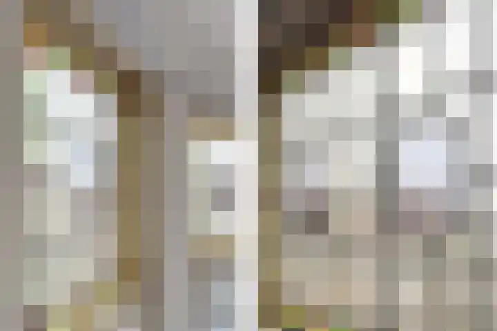 Aelbrechtskolk 45 C 01 Rotterdam thumbnail 9